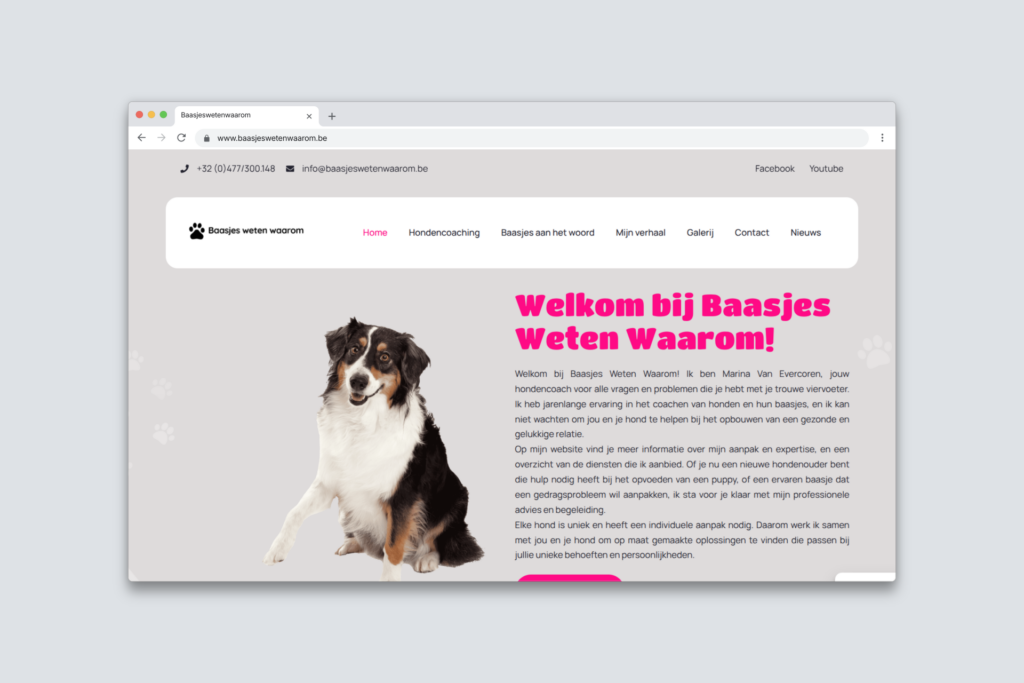 mockup van de website van Baasjes Weten Waarom