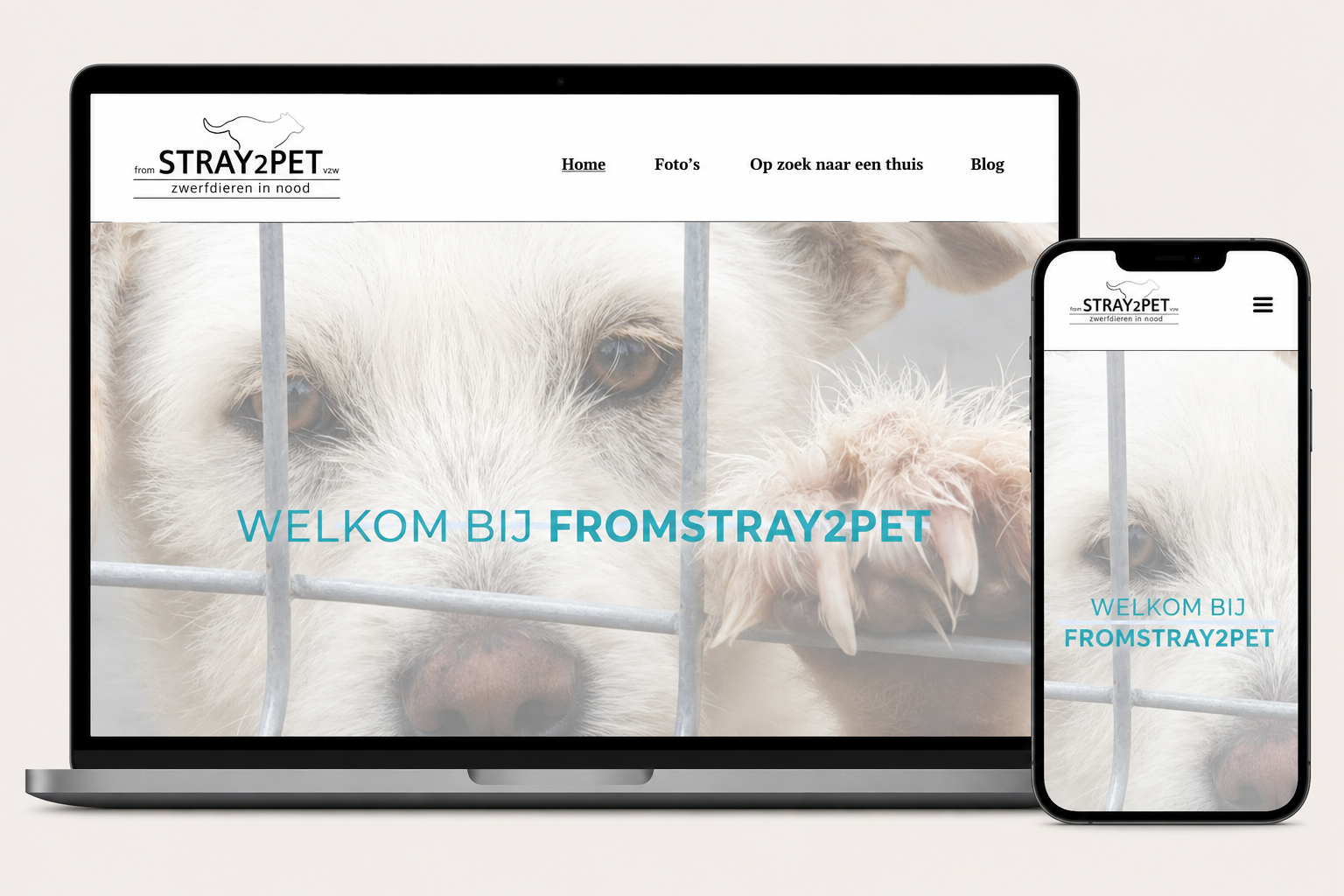 fromStray2Pet - mockup