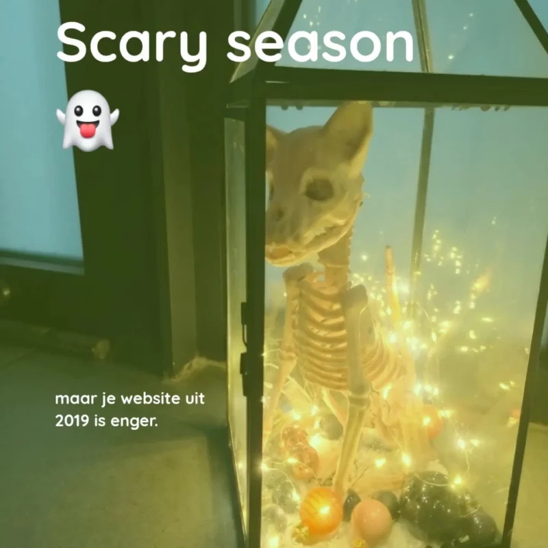Decoratief hondenskelet in een zwarte glazen lantaarn met warme lichtjes en Halloweenversiering