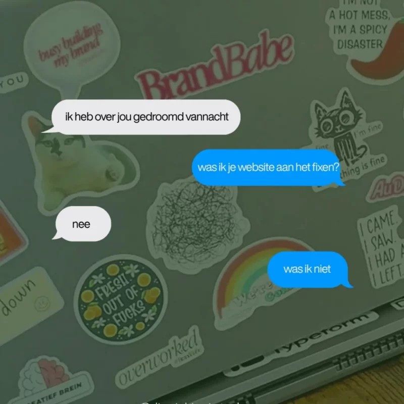 Afbeelding van Diggiehippie, webdesigner en automation specialist, met een grappig chatgesprek over websites. Iemand schrijft: "Ik heb over jou gedroomd vannacht." Ann antwoordt: "Was ik je website aan het fixen?" Daarna volgt: "Nee" en "Was ik niet", als knipoog naar Wasn't Me van Shaggy.